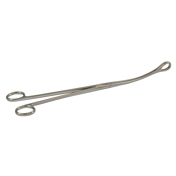 Pinza Kelly