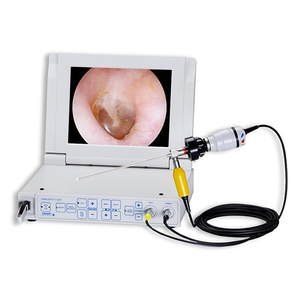 Endoscopia